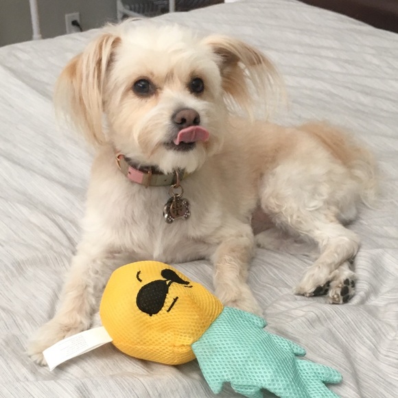 Meet your Posher, Joann - Picture 1 of 1